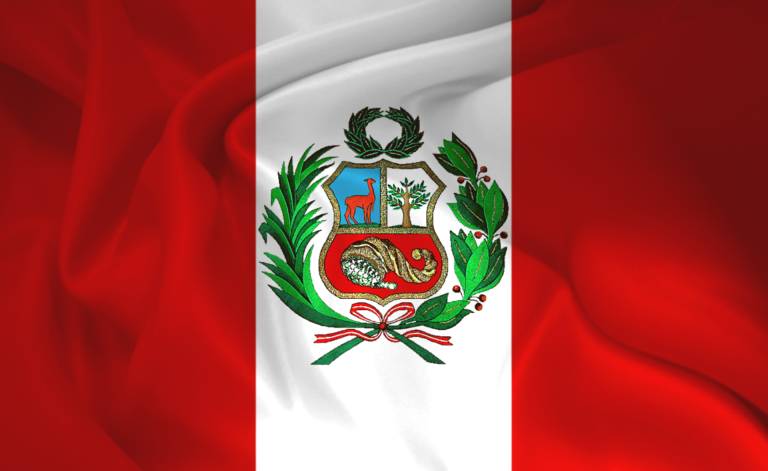 DEMOCRACIA REAL PARA EL PERÚ